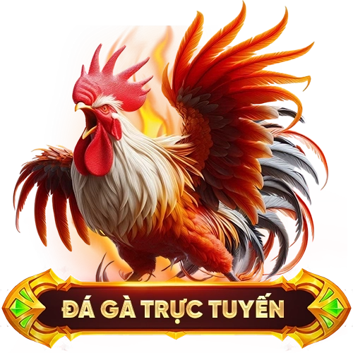 đá gà trực tuyến 8LIVE